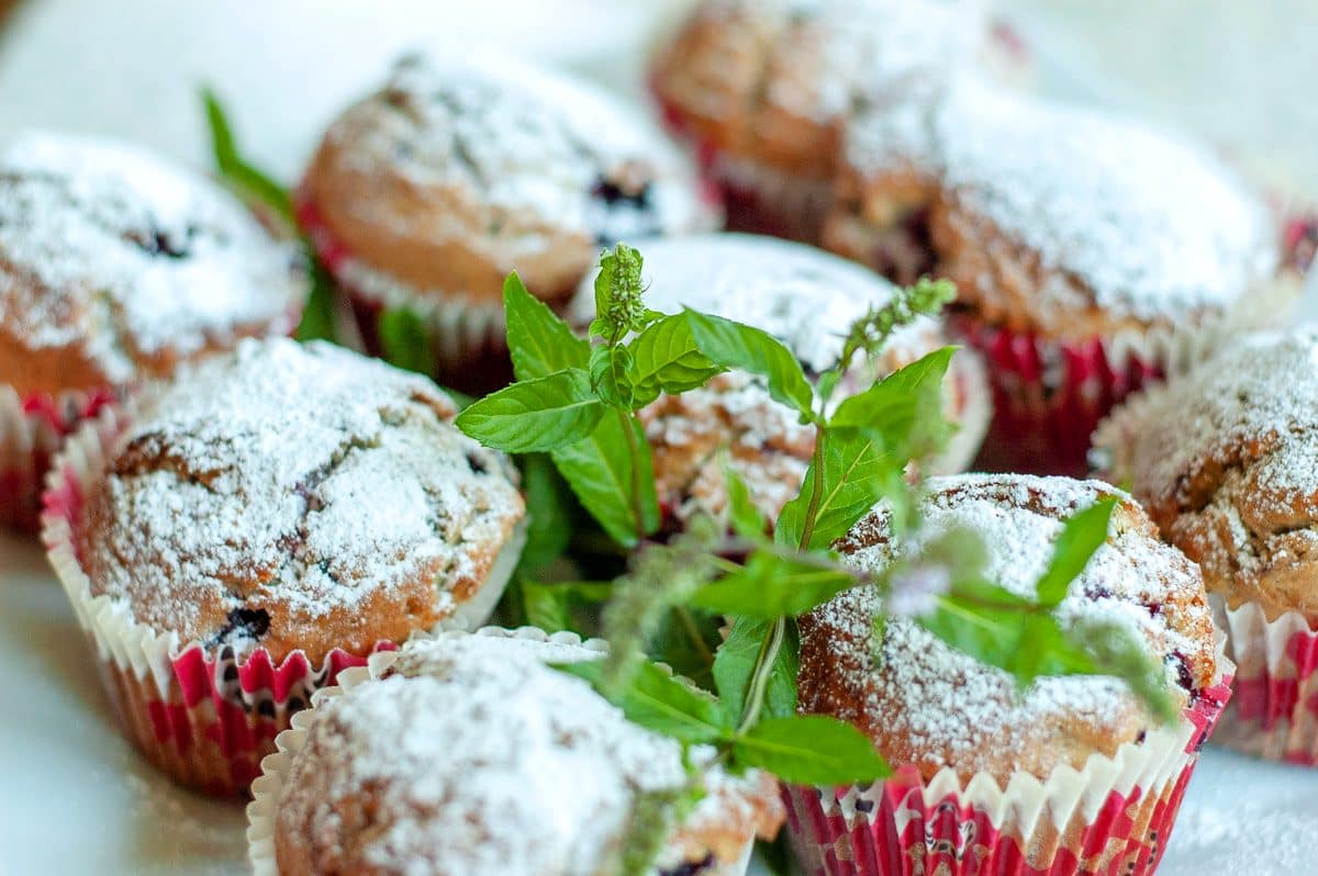 pyszne muffinki posypane cukrem pudrem i udekorowane świeżą miętą