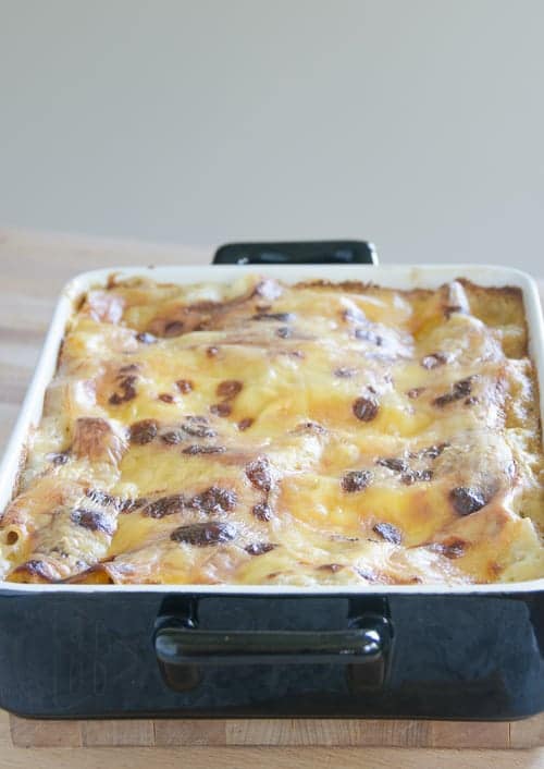 Lasagne z grzybami