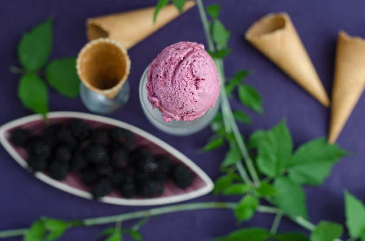lody jezynowe