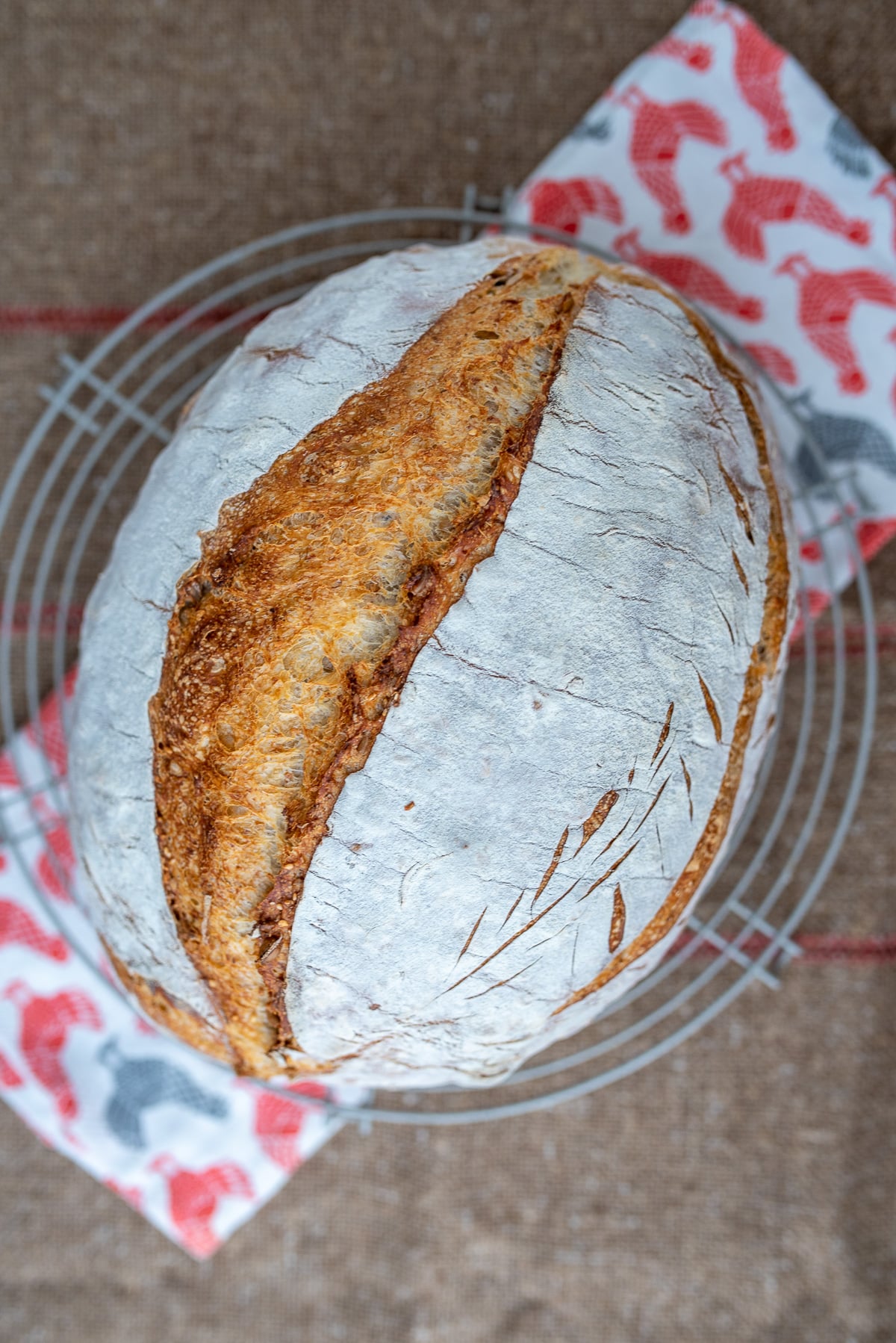 Wspaniały rumiany chleb z nacięciem, widziany od góry